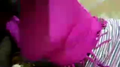 hairy_africanbae online show from July 2026 10:01:01 PM