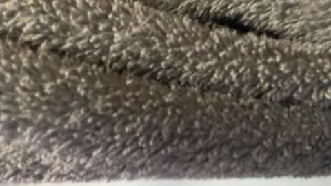 J  M online show from March 2025 04:56:01 AM