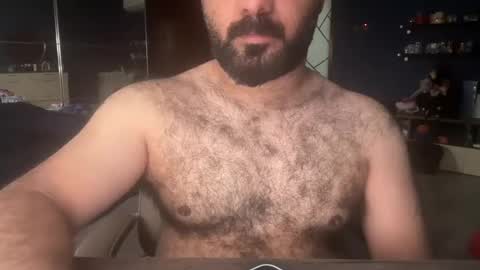 Snapshot of hairyarab_88 chatting on December 2024 09:35:02 AM Hairyarab88 online show from December 2024 09:35:02 AM