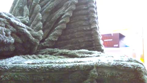 HairyHornyTwinkk online show from November 2025 10:36:01 AM