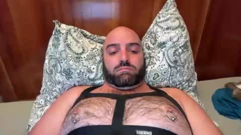 Hairy Guy online show from August 2026 06:44:02 PM