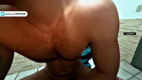 Snapshot of hairyshort chatting on December 2024 12:50:01 AM hairy and short online show from December 2024 12:50:01 AM