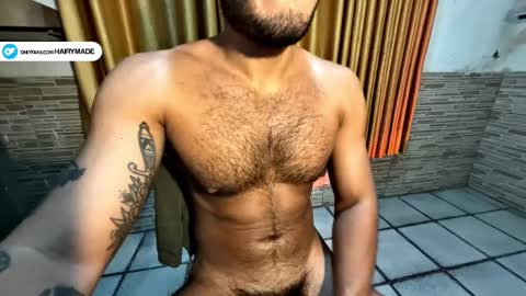 Snapshot of hairyshort chatting on January 2025 03:11:02 AM hairy and short online show from January 2025 03:11:02 AM