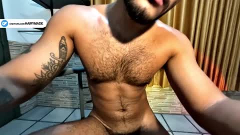 Snapshot of hairyshort chatting on January 2025 11:54:01 PM hairy and short online show from January 2025 11:54:01 PM