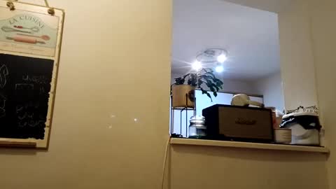 hakfin666 online show from January 2025 07:07:02 AM