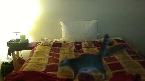 hammerthatthang73 online show from November 2025 01:29:02 AM