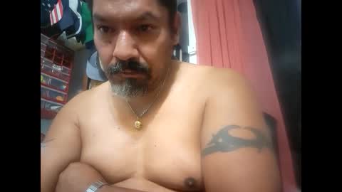 Snapshot of hammybone74 chatting on December 2024 09:10:01 AM Hammy online show from December 2024 09:10:01 AM