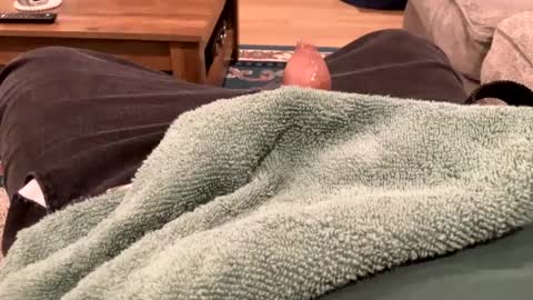 Snapshot of handhugger chatting on December 2024 08:28:02 PM handhugger online show from December 2024 08:28:02 PM