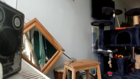 Snapshot of handncocknocum chatting on February 2025 10:47:02 AM handncocknocum online show from February 2025 10:47:02 AM