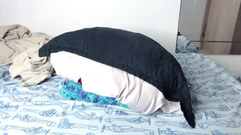 Snapshot of handsome_white1 chatting on January 2025 01:06:02 PM jorge daniel online show from January 2025 01:06:02 PM