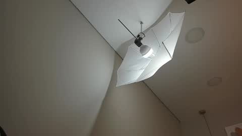 Hanna online show from April 2026 12:17:02 PM