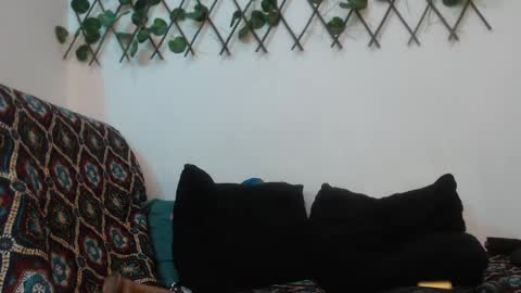 Snapshot of hannafalls chatting on January 2025 04:00:01 AM SARA online show from January 2025 04:00:01 AM