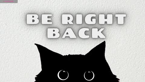Snapshot of hannarainbow_ chatting on February 2025 12:08:02 AM Hanna online show from February 2025 12:08:02 AM