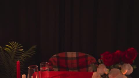 Snapshot of hannasthesia chatting on March 2025 12:40:02 AM Hanna online show from March 2025 12:40:02 AM