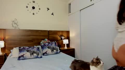 taylor live   online show from March 2026 11:32:02 PM