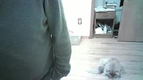 Snapshot of har5 chatting on January 2025 08:01:01 PM Hardy-Har online show from January 2025 08:01:01 PM