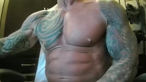 hardbody205a online show from February 2025 01:40:02 AM