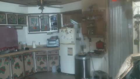 Snapshot of hardinhand44 chatting on January 2025 09:30:02 PM john nobles online show from January 2025 09:30:02 PM