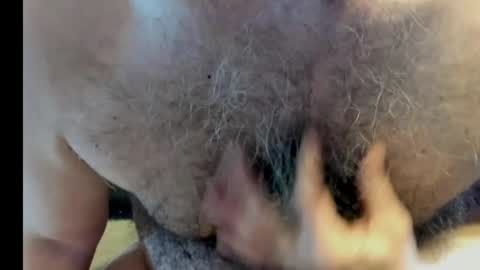 Snapshot of harry_banana chatting on January 2025 09:16:01 PM harry_banana online show from January 2025 09:16:01 PM