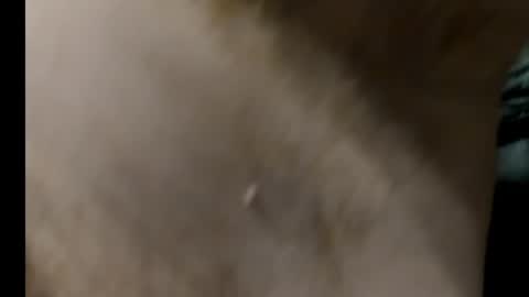 Snapshot of harry_banana chatting on January 2025 08:29:02 AM harry_banana online show from January 2025 08:29:02 AM