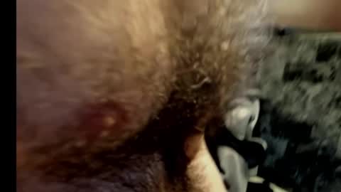 Snapshot of harry_banana chatting on February 2025 10:40:02 PM harry_banana online show from February 2025 10:40:02 PM