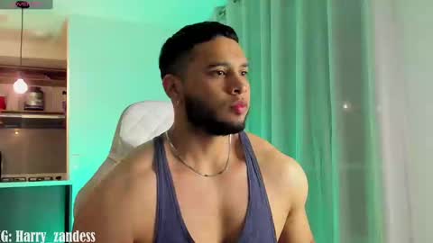 Harry Zandes online show from February 2025 04:03:02 AM