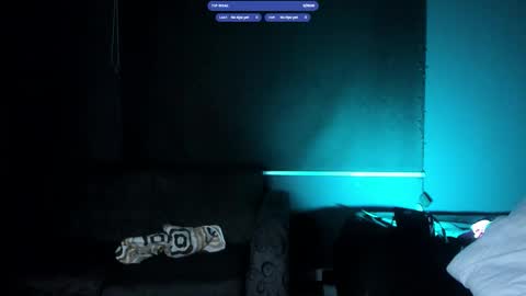  ... online show from November 2025 08:12:01 AM