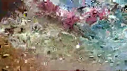 Snapshot of harv1983 chatting on June 2026 10:29:02 PM Jordan83 online show from June 2026 10:29:02 PM