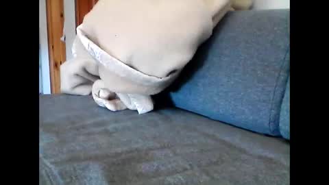 havier282874 online show from May 2026 08:53:02 AM