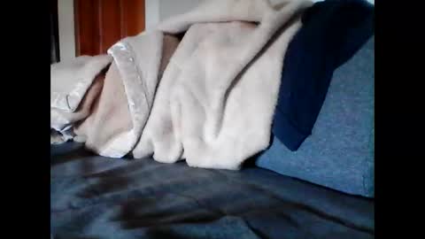 havier282874 online show from June 2026 04:57:01 AM