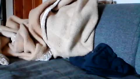 havier282874 online show from June 2026 08:06:02 AM