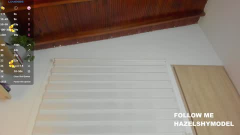 Snapshot of hazel_shy chatting on December 2024 12:30:02 AM Im Hazel online show from December 2024 12:30:02 AM