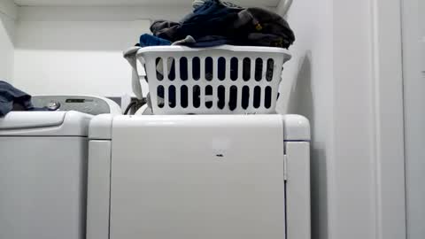 hdrsh08 online show from April 2026 04:41:01 AM