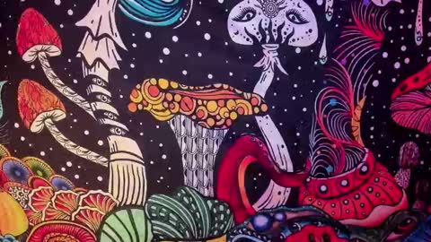 Snapshot of hecate_and_crow chatting on February 2025 07:42:02 AM   online show from February 2025 07:42:02 AM