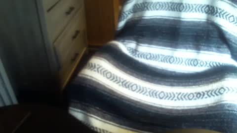 hecomesagain online show from September 2025 01:57:02 PM