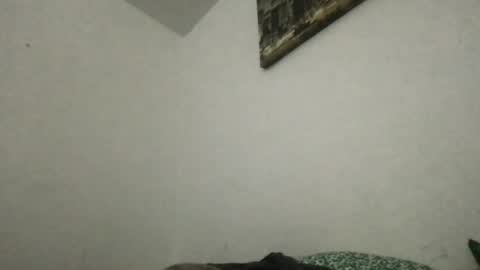 Thisisheff online show from June 2026 03:42:01 AM