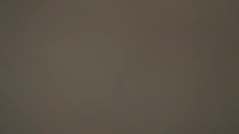 hellohowareyou66 online show from March 2026 06:19:02 PM