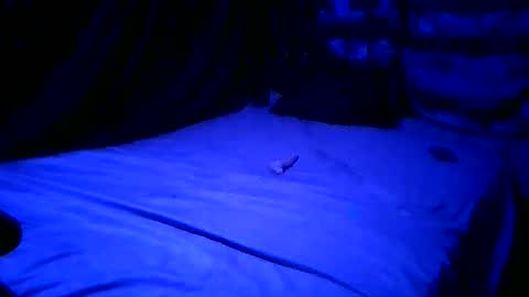 SissyNutsBustedCounter online show from April 2026 08:02:02 AM