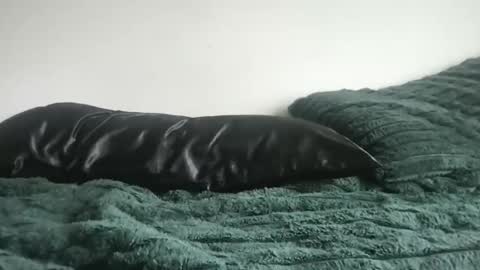 DrixxTheGod online show from April 2026 04:26:02 PM