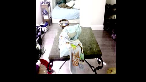 Snapshot of henryflapper chatting on January 2025 07:44:02 PM HenryFlapper online show from January 2025 07:44:02 PM