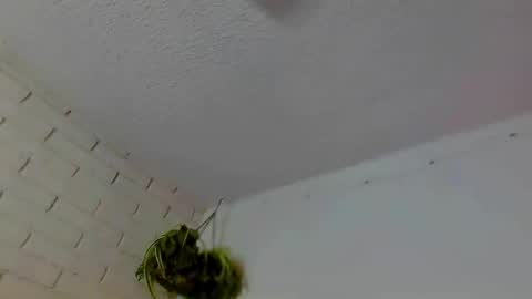 Kiki holestuffer 3000 destroyer of asses miss big balls online show from October 2025 03:37:02 AM