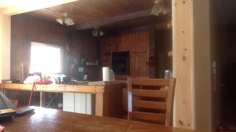 Jason online show from February 2026 06:51:02 PM