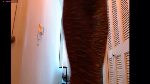 hevin69 online show from February 2026 07:10:02 PM