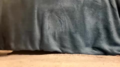 hevyryder online show from April 2026 09:37:01 AM