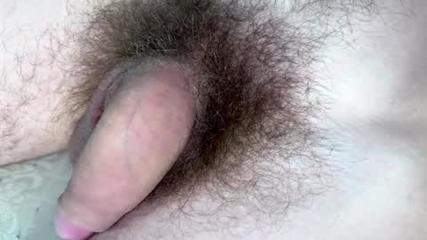 Snapshot of hey_arnold chatting on January 2025 09:17:02 PM Arnold online show from January 2025 09:17:02 PM