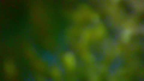hhhjnf1 online show from October 2025 06:16:02 PM