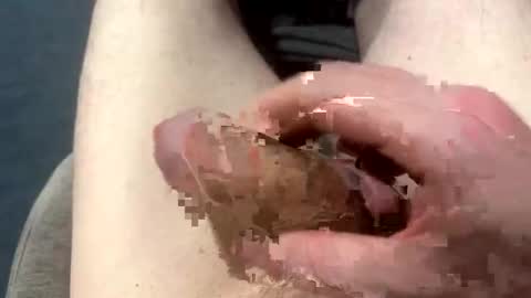 higradez online show from March 2026 07:52:01 PM