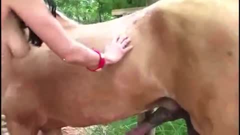 hikitty_39lala online show from November 2025 12:14:02 PM