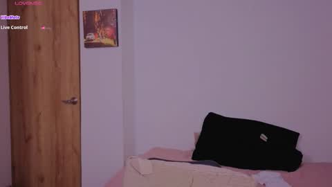 Snapshot of hipatiaandhephaestus chatting on November 2025 05:50:02 AM Next stream saturday night online show from November 2025 05:50:02 AM