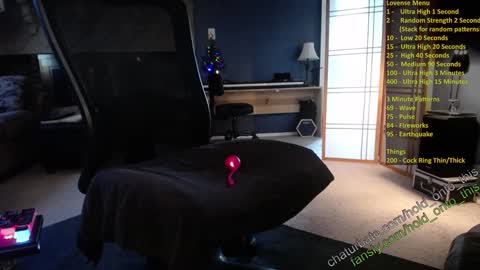 Snapshot of hold_onto_this chatting on December 2024 09:19:02 PM Moby online show from December 2024 09:19:02 PM